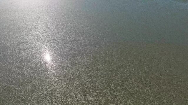 mud korea taean sea