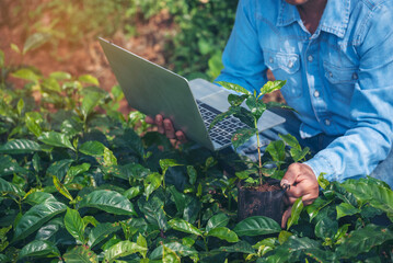 Smart farmer using laptop in eco green farm sustainable quality control. Close up Hand typing...