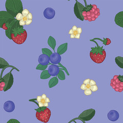 Spring berries seamless pattern. Ornament of strawberry, blueberry, raspberry. Cartoon vector design.