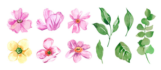 Watercolor botanical Hand drawn cute flowers, leaves and spring natural floral elements. For birthday, mother day, valentines day, march. Isolated on white.