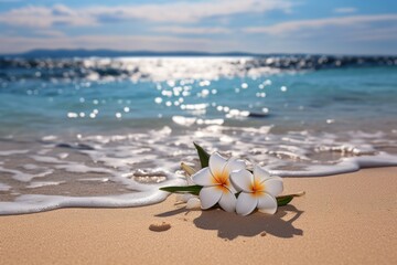 Fototapeta premium White frangipani plumeria flowers on sand at the beach.