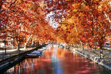Obraz premium Natural maple tree tunnel with Canal du Vasse on Anncery Lake