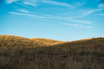 Golden meadow hill with blue sky in countryside