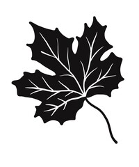 Naklejka premium Illustrations black white images artline leaves photo tree flower 