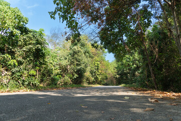 Asphalt road with trees and blue sky in the countryside of Thailand. Light shining through the shadows of the trees.