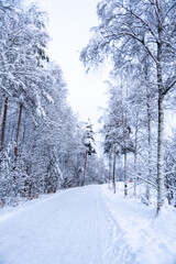 Winter time in snowy Rovaniemi Lapland, winterwonderland shortly before christmas season