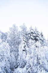 Winter time in snowy Rovaniemi Lapland, winterwonderland shortly before christmas season