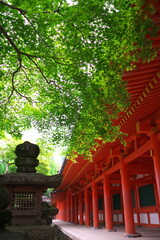 青紅葉と春日大社