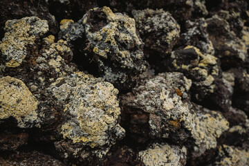 Close up of lava rock covered with moss in Lanzarote island, Spain.