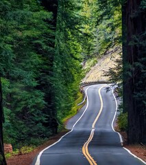 Garberville, United States - February 15 2020: driving on an extreme winding road, the avenue of...