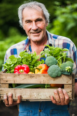 Close Up Of Man On Allotment Holding Box Of Home Grown Vegetables