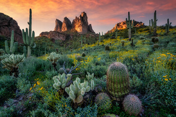 Sunset in the Superstition Mountains of Arizona - obrazy, fototapety, plakaty