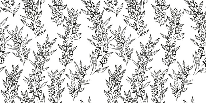 Stylized abstract simple branches with flowers buds and leaves seamless pattern. Black and white artistic gently floral background. Vector hand drawn sketch lines, outlines. Template for design, print