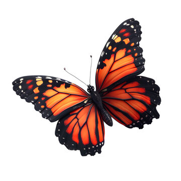 a butterfly with orange wings