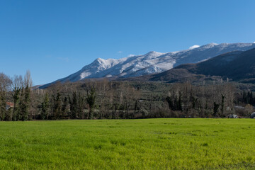Obraz premium four seasons of snow and mountains in the plain green field background