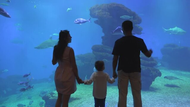 Young family silhouette in front of big tank aquarium with coral reefs and tropical fish