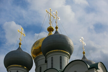 Novodevichy Monastery, domes of the church. Moscow. Russia.