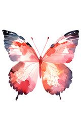 a watercolor butterfly with pink and blue wings