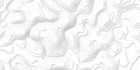  3d render, abstract white paper background. Paper cut vector art background banner texture. multi layer cutout geometric pattern on vector, Abstract soft white background with waves.