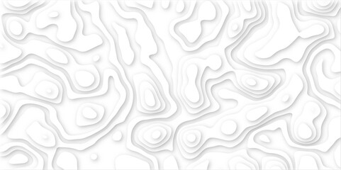  3d render, abstract white paper background. Paper cut vector art background banner texture. multi layer cutout geometric pattern on vector, Abstract soft white background with waves.