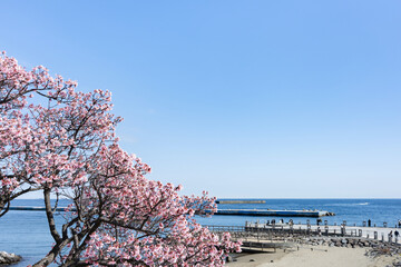 静岡県熱海市　スパ・マリーナ熱海近くの風景