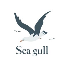 flat vector logo of animal Seagull Vector image, White Background