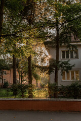 Fototapeta na wymiar rays of sunlight between two residential buildings and trees. a cozy city street with old houses at sunset. a cozy urban environment.