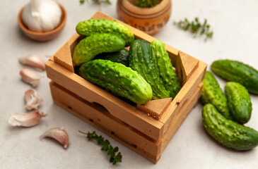 Fresh natural green cucumbers.