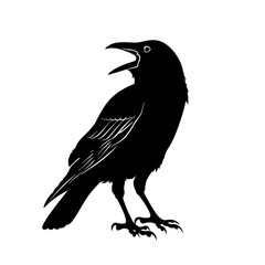 Fototapeta premium a black silhouette of a bird