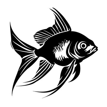a black and white image of a fish