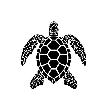 a black and white turtle
