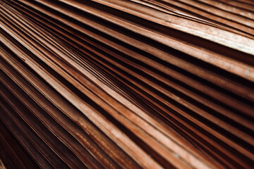 Brown texture of banana palm tree leaf. Close up nature background Striped lines on palm leaves as...