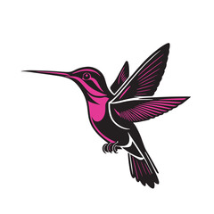 Hummingbird colored vector illustration 