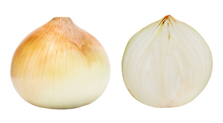 Onion full and half onion - obrazy, fototapety, plakaty