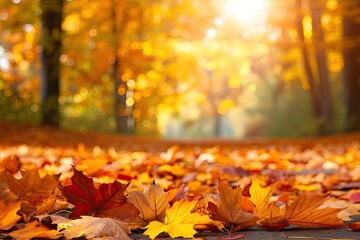 Naklejka na ściany i meble autumn leaves in the park