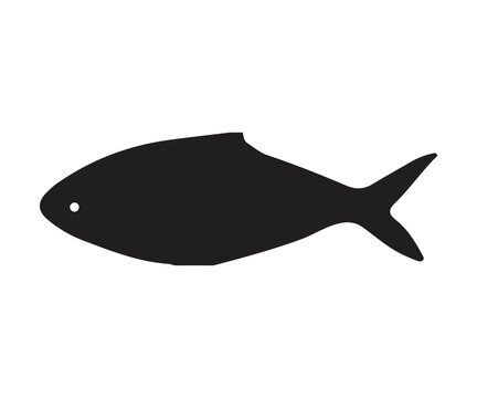 ilisha hilsa fish silhouette, white background