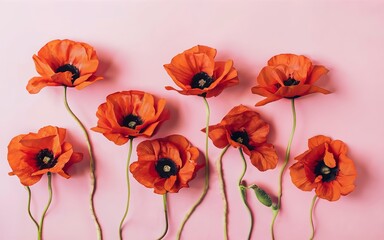 Beautiful red poppies on pink background. Flat lay, top view