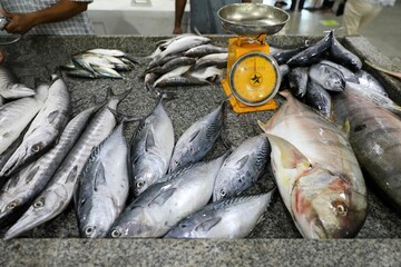 fish market - Barka, Muscat, Oman