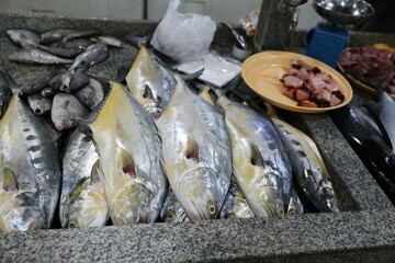 fish market - Barka, Muscat, Oman