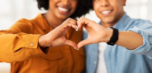 Obraz na płótnie Canvas A close-up of a happy couple creating a heart shape with their hands