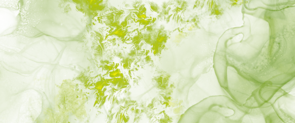 PNG green moss on the stone green winter grunge watercolor background texture wallpaper texture old stone wall light effect background dark black effect graphics cover page template old wall unique 