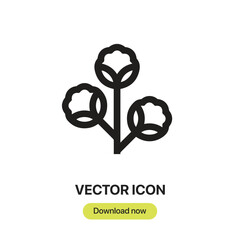 Obraz premium Cotton icon vector. Linear-style sign for mobile concept and web design. Cotton symbol illustration. Pixel vector graphics - Vector. 