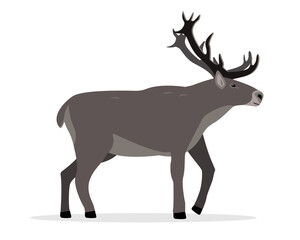 Reindeer icon isolated on white background. Horned deer. Wild north cold climate forest animal with big horns. Flat vector illustration.