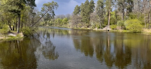 Beautiful landscape of river and forest on shores in sunny summer day