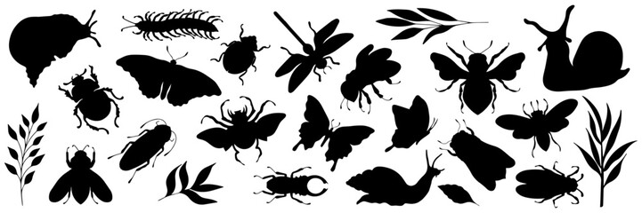 Set of insects on a white background
