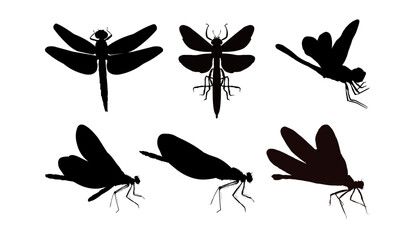 Set of dragonfly silhouette isolated on white background