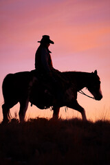 silhouette of horse and rider vertical shot black subject of western rider cowboy on horse with...