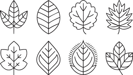leaves thin line icon set vectors collections. 