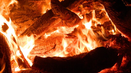 A cozy photo of a warm campfire.