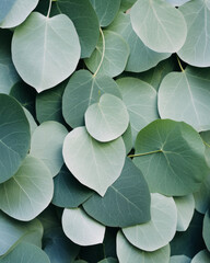 Naklejka premium A Bunch of Green and White Leaves